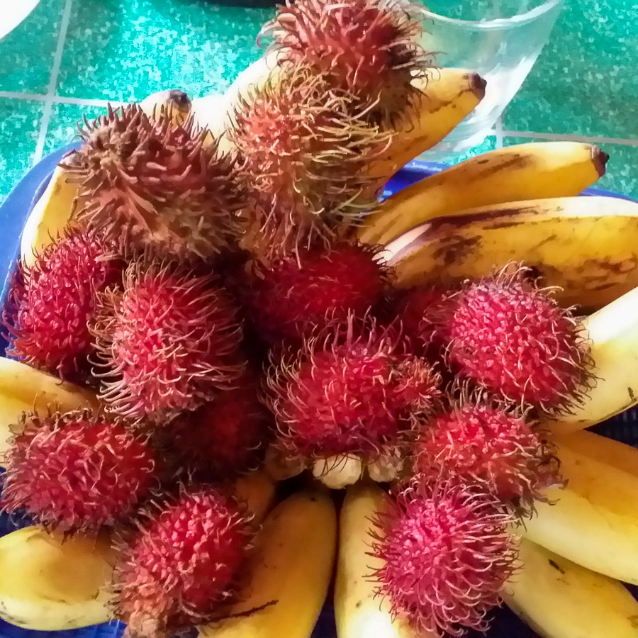 Fruta en Filipinas, banana y Rambutan