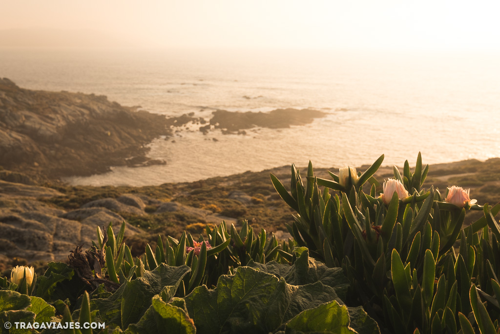 Campamento de surf en Galicia