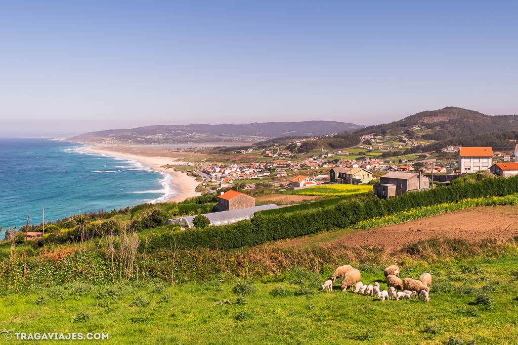 Campamento de surf en Galicia