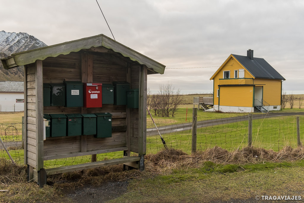 curiosidades de Lofoten