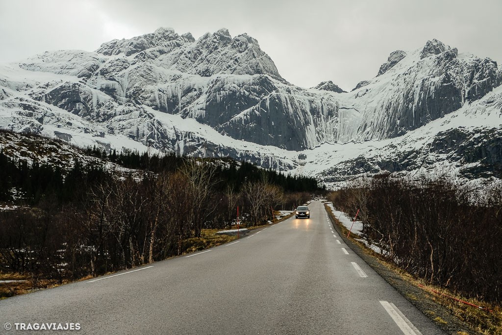 curiosidades de lofoten