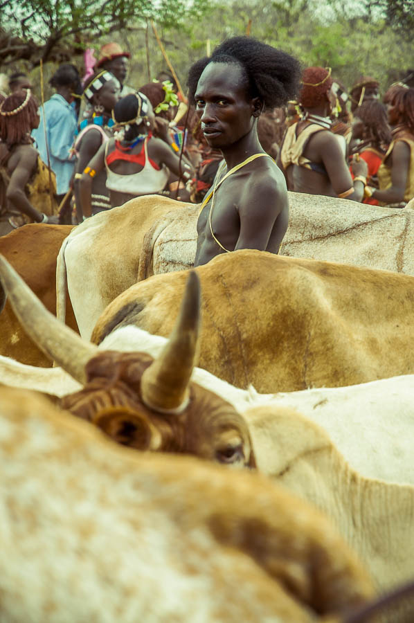 Ceremonia Bull Jumping, Tribu Hamer, Etiopia