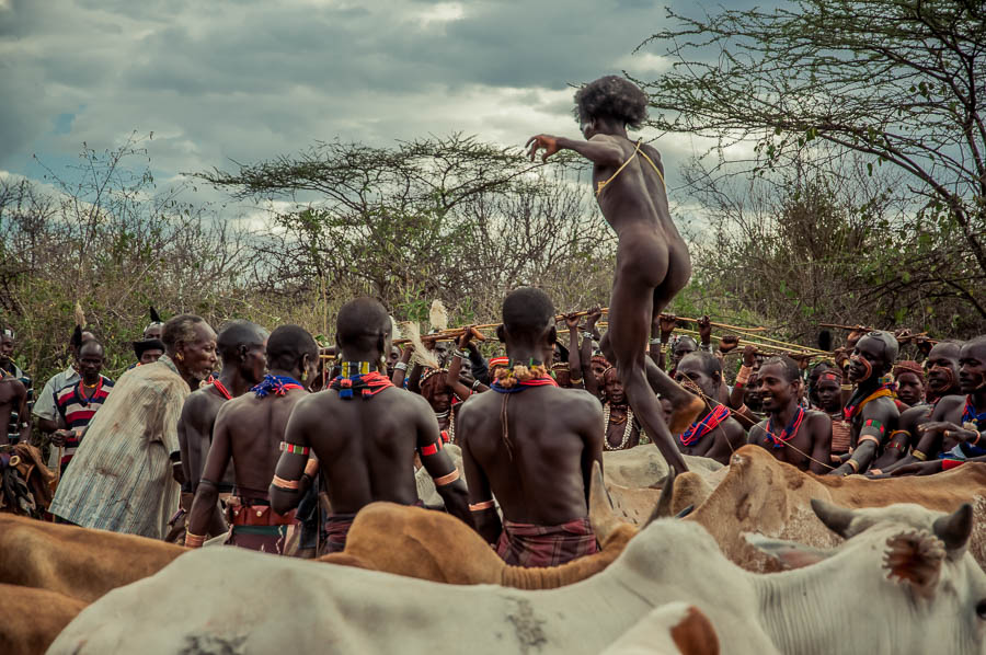 Ceremonia Bull Jumping, Tribu Hamer, Etiopia