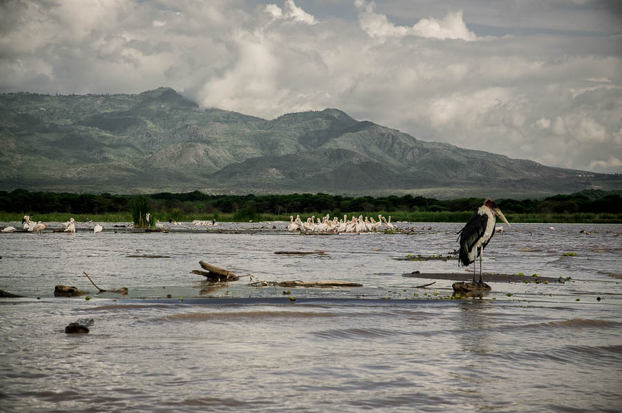 Lago Chamo en Arbaminch, Etiopía
