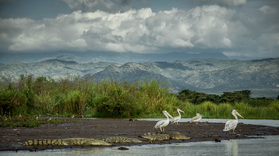 Lago Chamo en Arbaminch, Etiopía