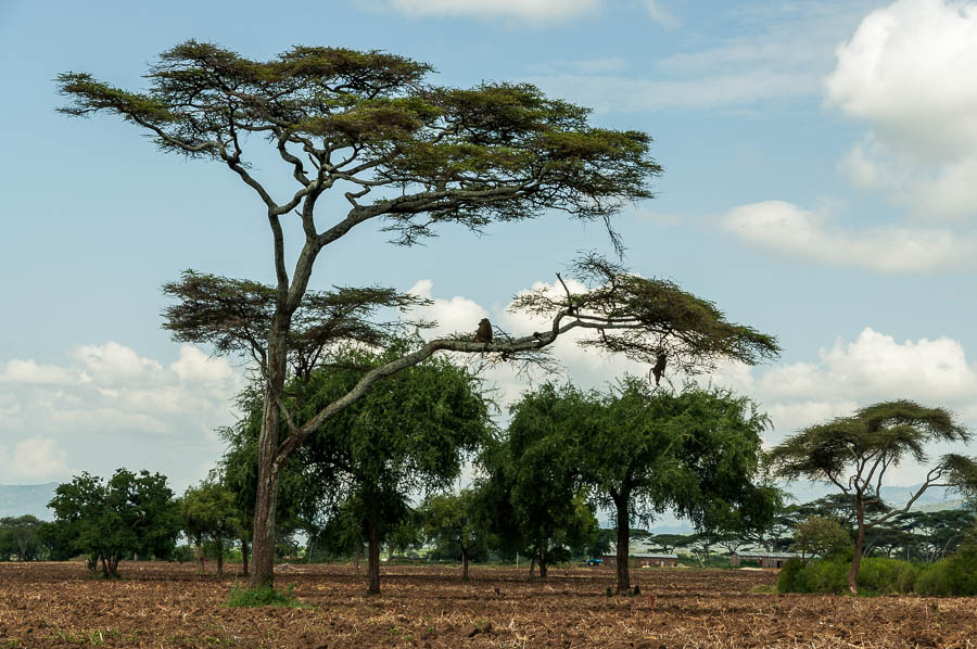 Tribus de Etiopia al sur del país