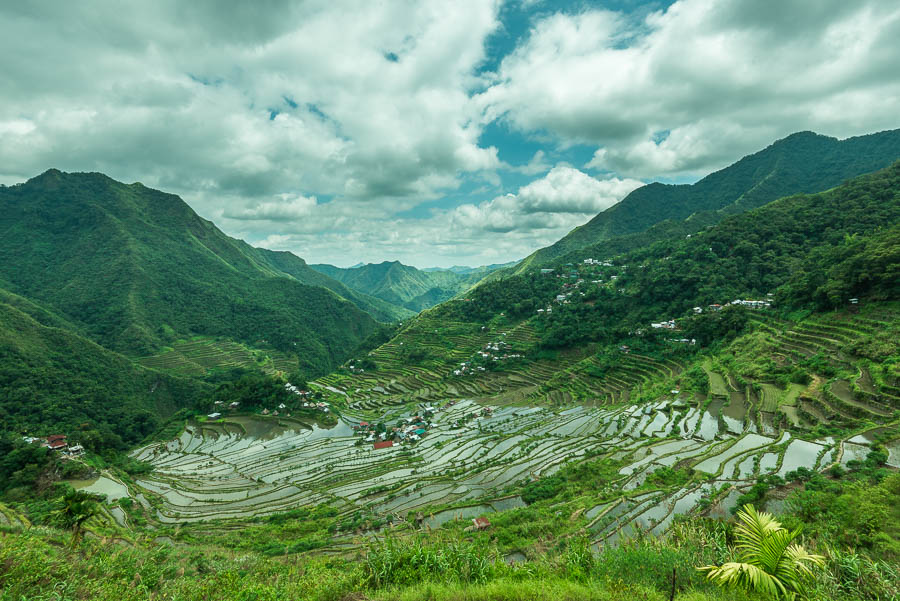 Arrozales de Batad, en Banaue, Filipinas