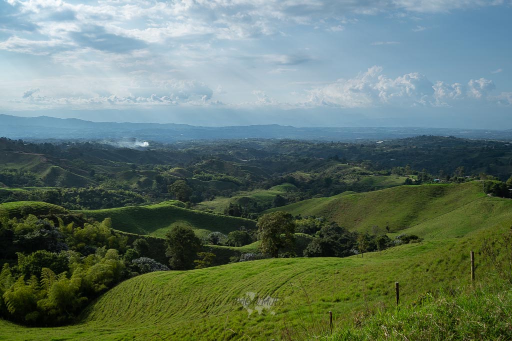 Alrededores de Filandia