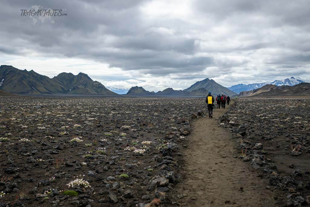 Highlands de Islandia - 3º etapa del trekking de Laugavegur