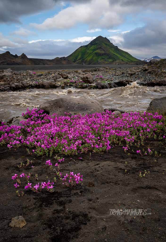 Highlands de Islandia - La fuerza de Islandia