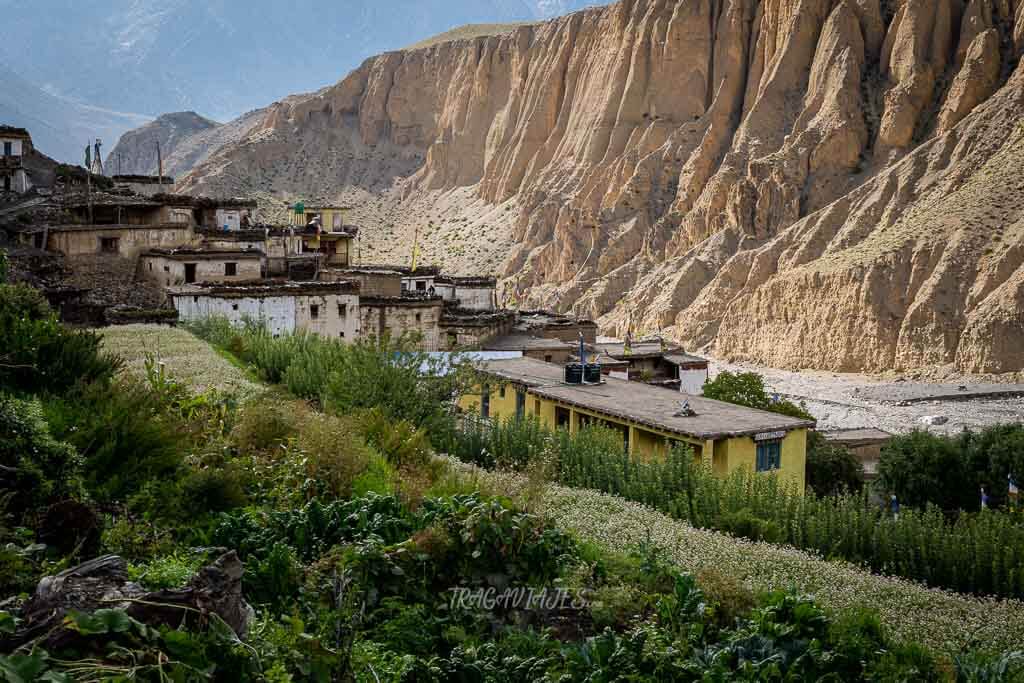 Lower Mustang Nepal - Lubra