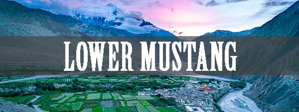 Lower Mustang