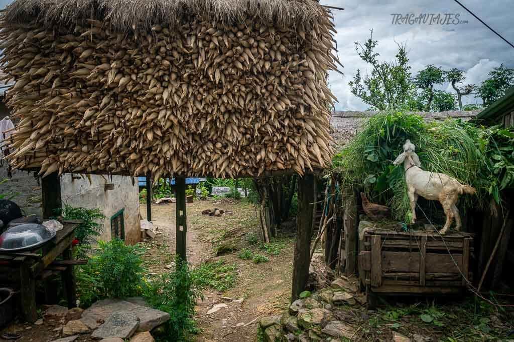 Qué hacer en Bandipur - Aldea de Ramkot