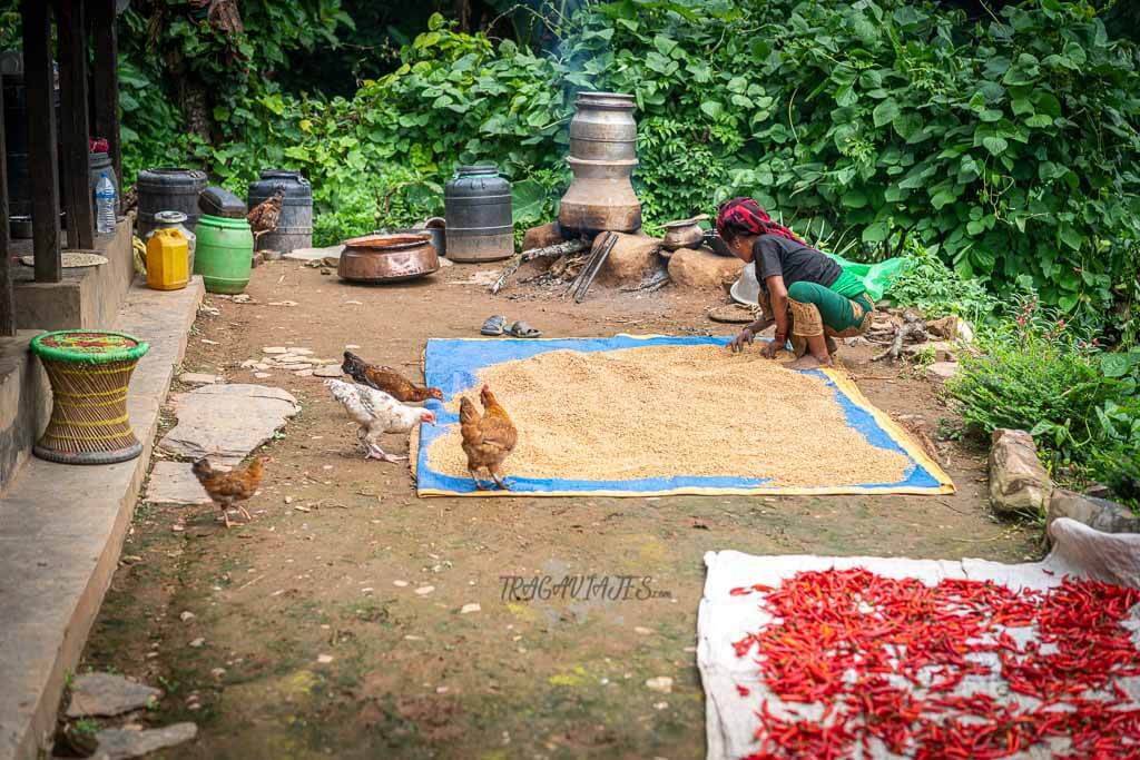 Qué hacer en Bandipur - Ramkot