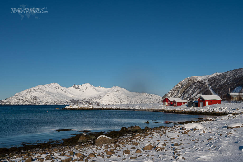 Excursión a la isla de Kvaløya