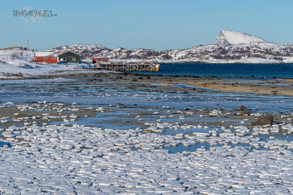 Visitar la isla de Sommarøya