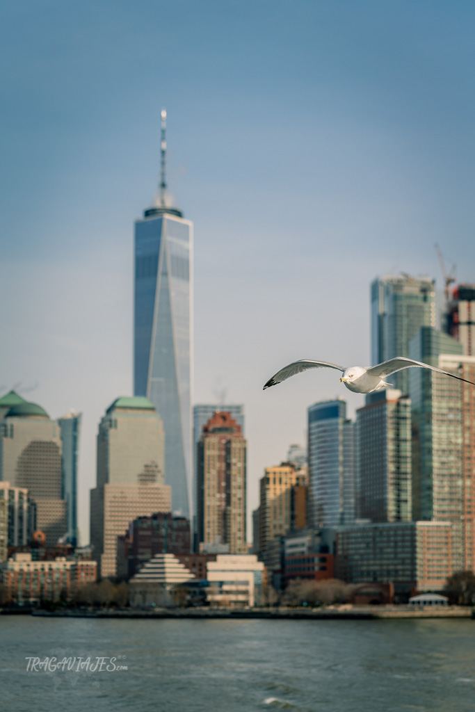 Fotos de Manhattan - De camino a Liberty Island