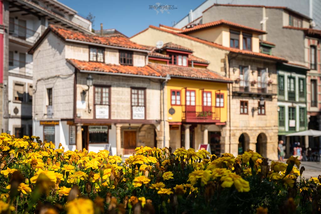 Qué ver en Avilés en un día - Plaza Domingo Álvarez Acebal