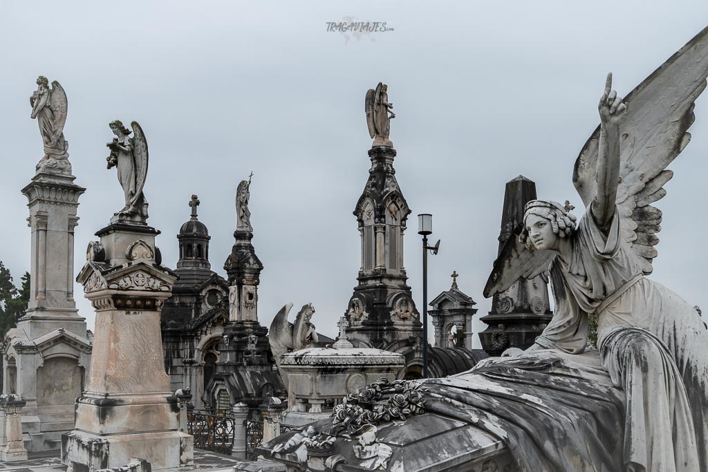 Cementerio Municipal de La Carriona