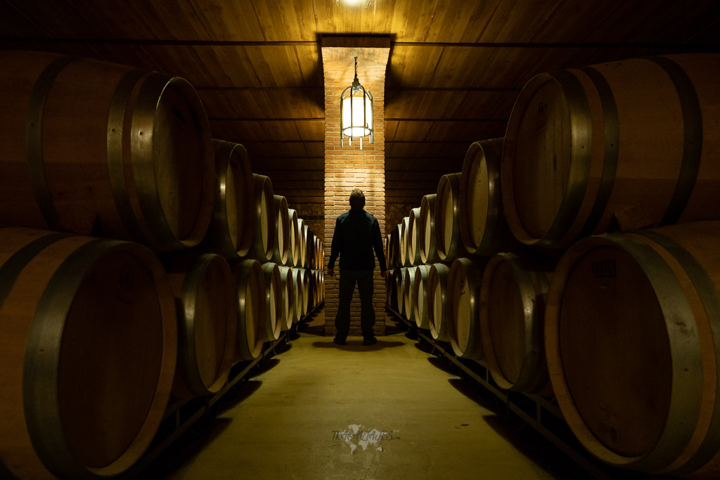 Visitar una bodega en Logroño - Bodegas Ontañón