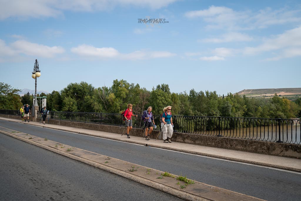 Qué ver en Logroño en un día - Peregrinos