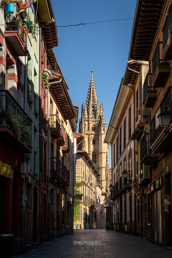 Qué ver en Oviedo en 2 días - Calle Mon