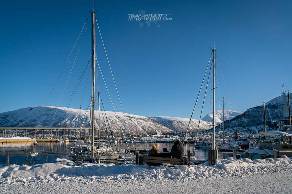 Imprescindibles que ver en Tromso -Puerto de Tromso