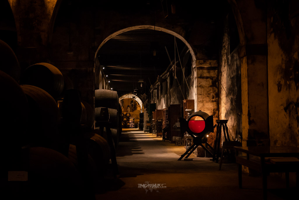 Qué ver en El Puerto de Santa María - Bodega Osborne