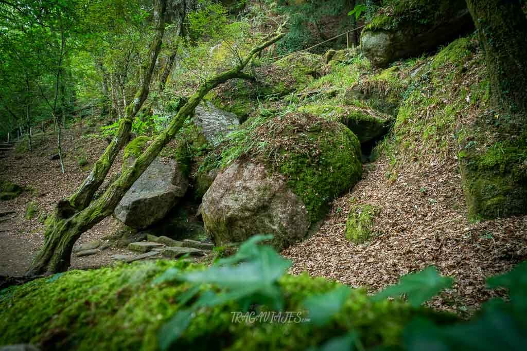 Qué ver en la Ribeira Sacra - Fuente de San Benito