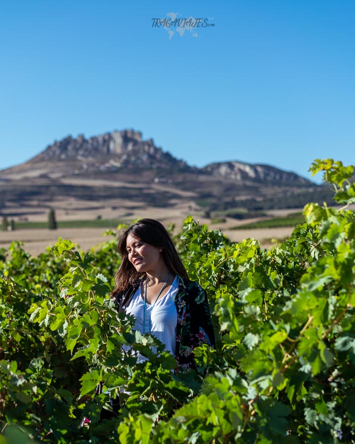 Pueblos de la Rioja - Cellorigo