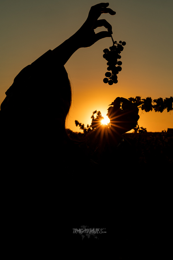 Los mejores atardeceres en la Rioja