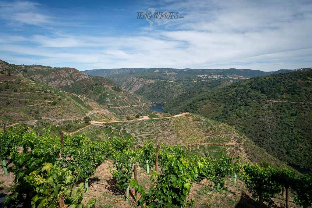 Bodegas de la Ribeira Sacra