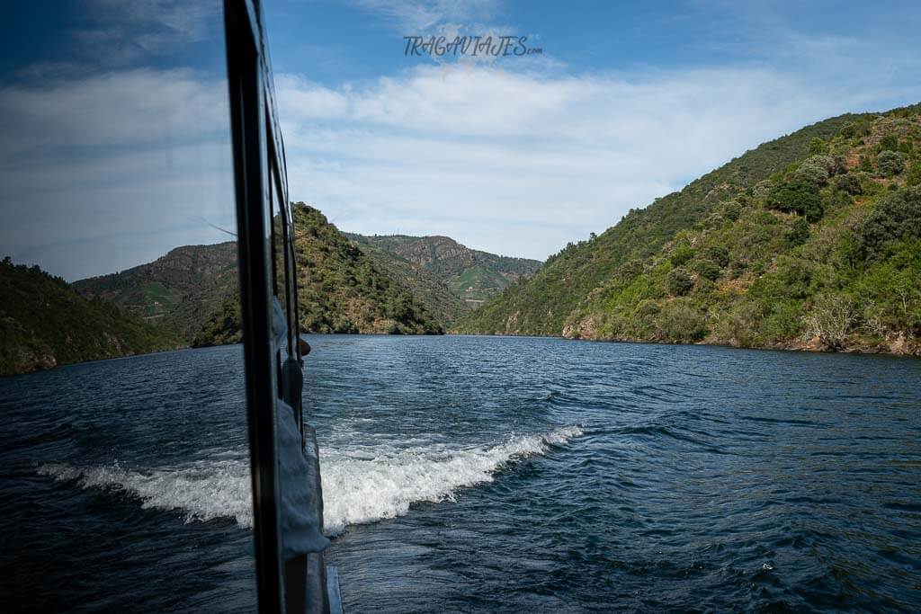 Paseo en catamarán por los cañones del Sil