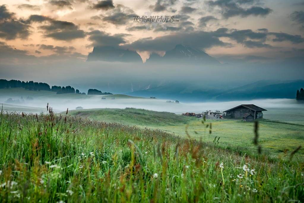 Alpe de Siusi