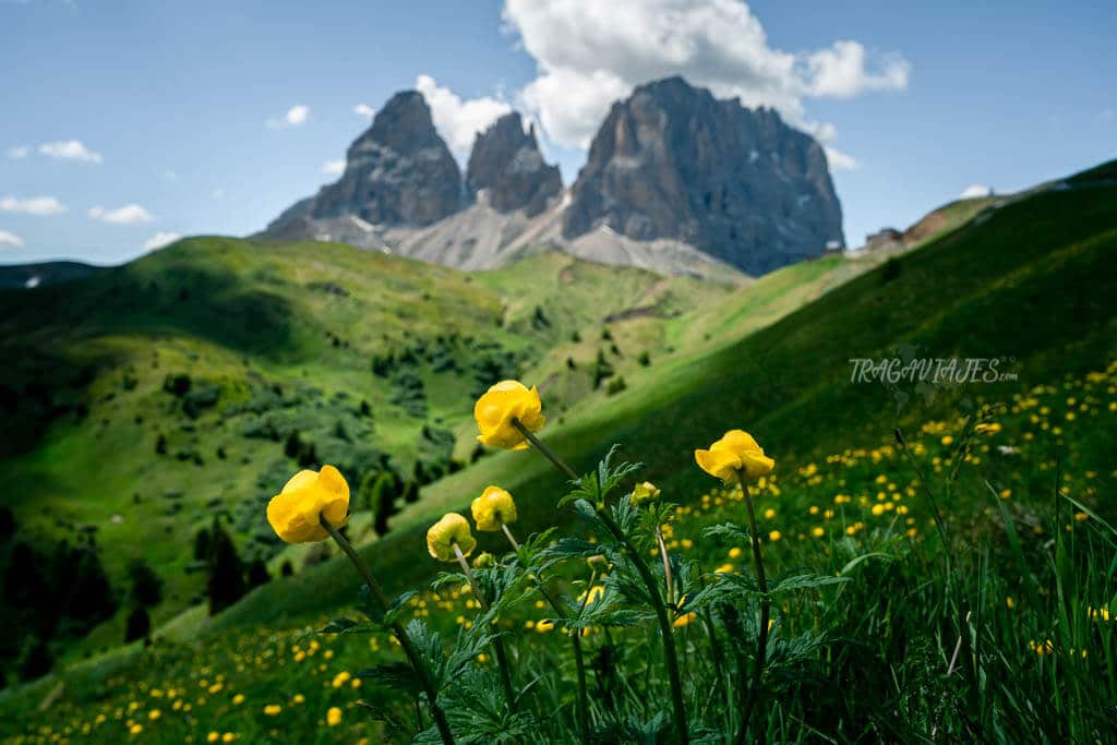 Mejores fotos de los Dolomitas - El Paso Sella