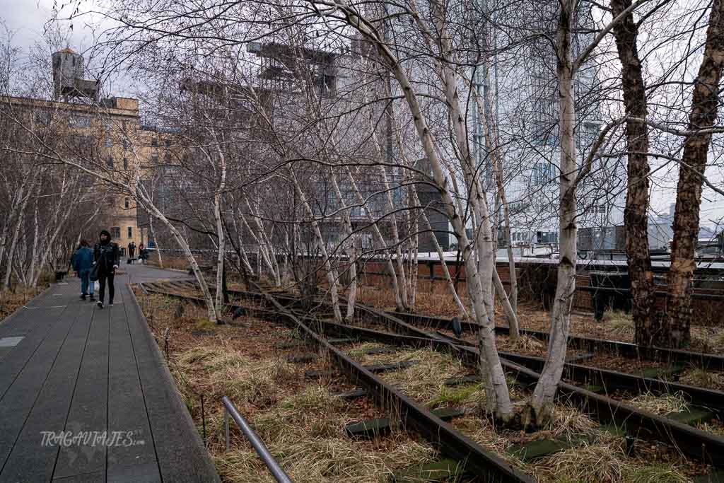Nueva York en una semana - High Line