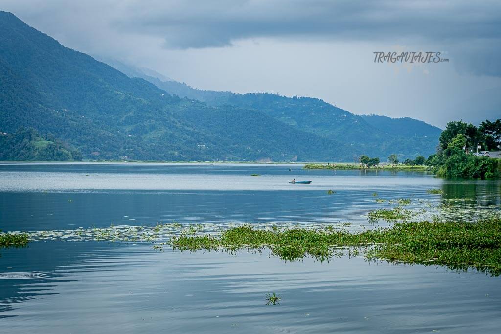 Qué ver y hacer en Pokhara - El lago Phewa desde el Rest Point Cafe