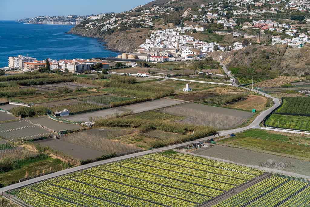 Qué ver y hacer en Salobreña - Vista desde el Paseo de las Flores