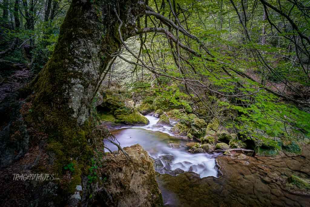 Ruta nacedero del río Urederra - Colores