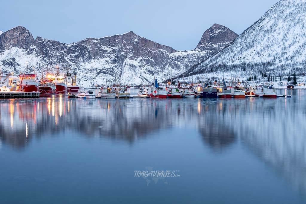 Senja Noruega - Puerto de Senjahopen