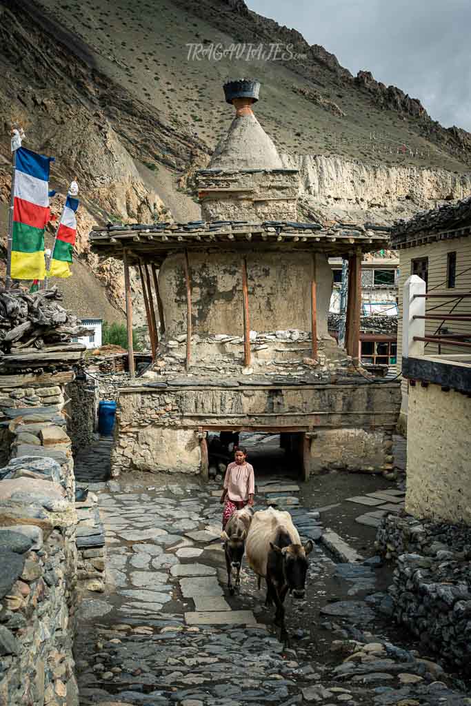 Trekking Lower Mustang - Kagbeni