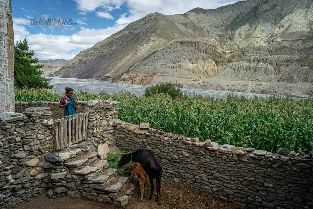 Trekking Lower Mustang - Tiri