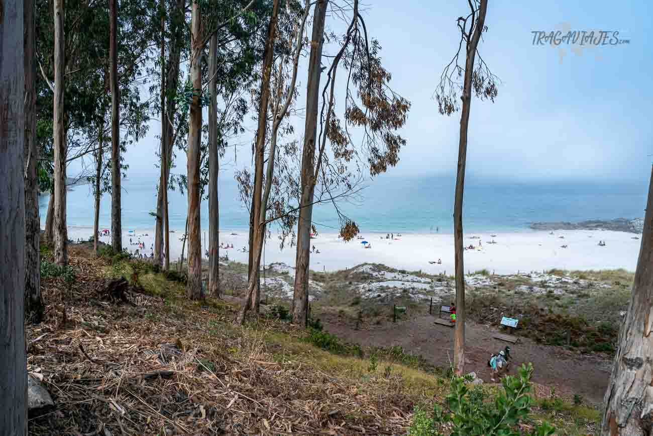 Playas de las islas Cíes