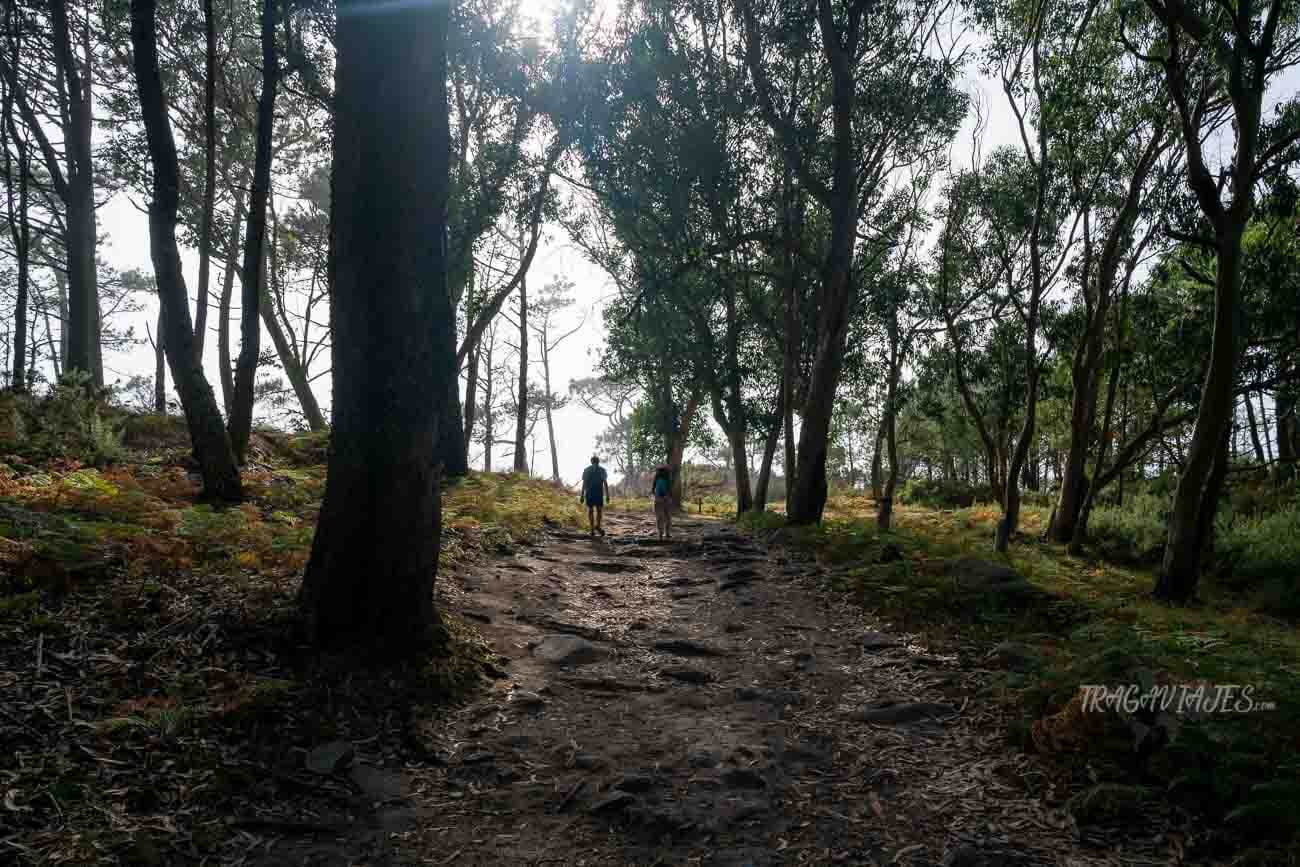 Rutas por las islas Cíes