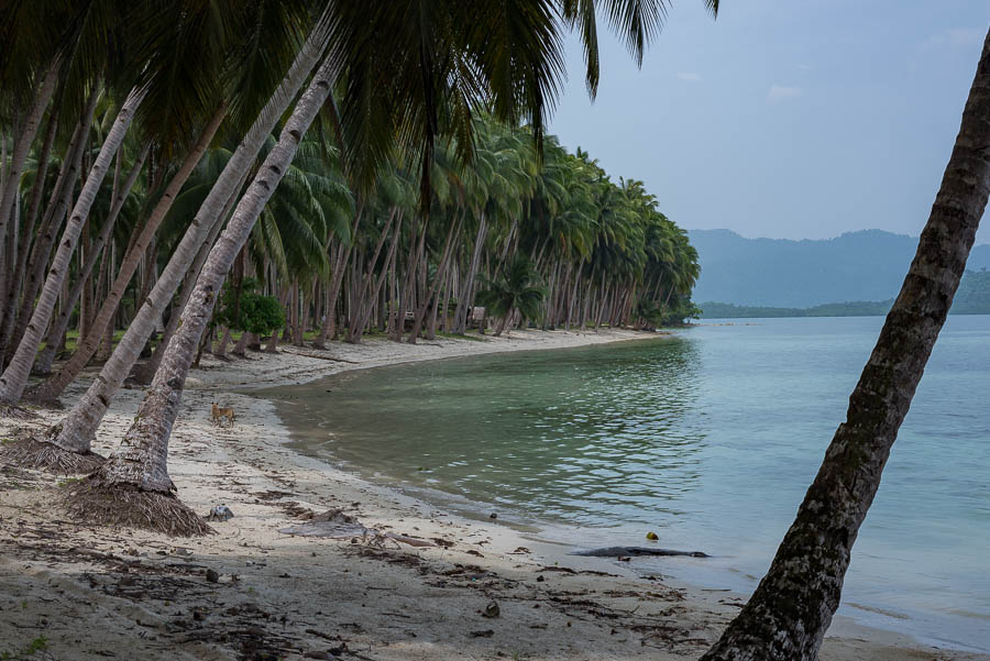 Playa desierta, White beach, Port Barton Filipinas