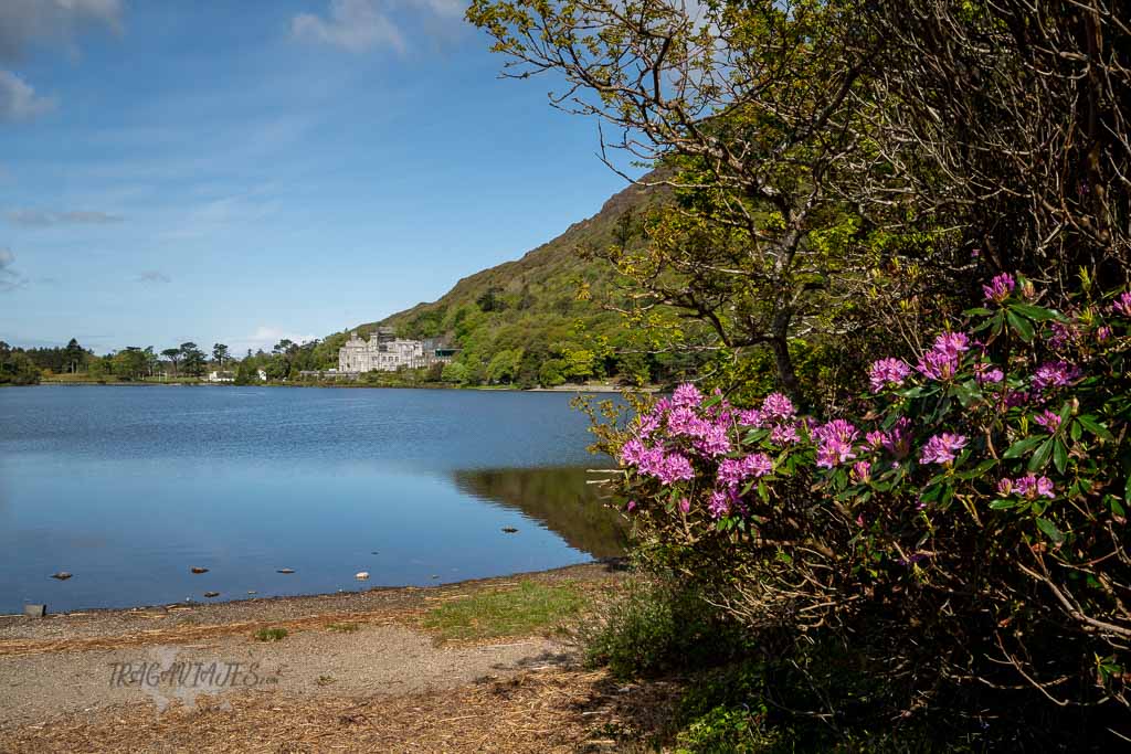 Wild Atlantic Way Irlanda - Abadía de Kylemore