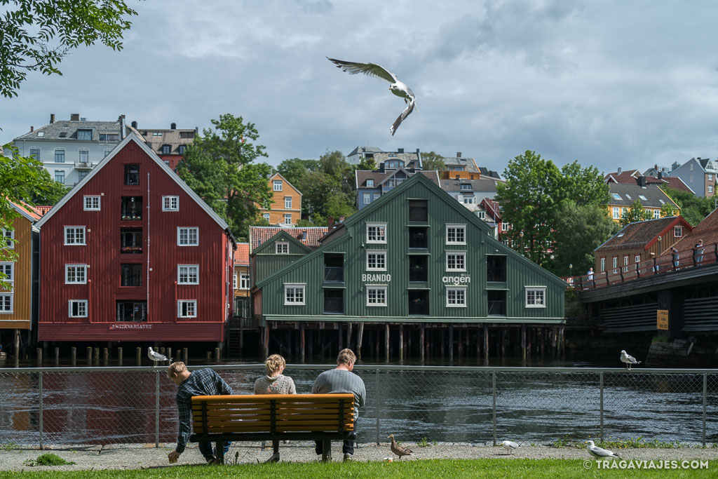 camino de san olav o nidaros, noruega