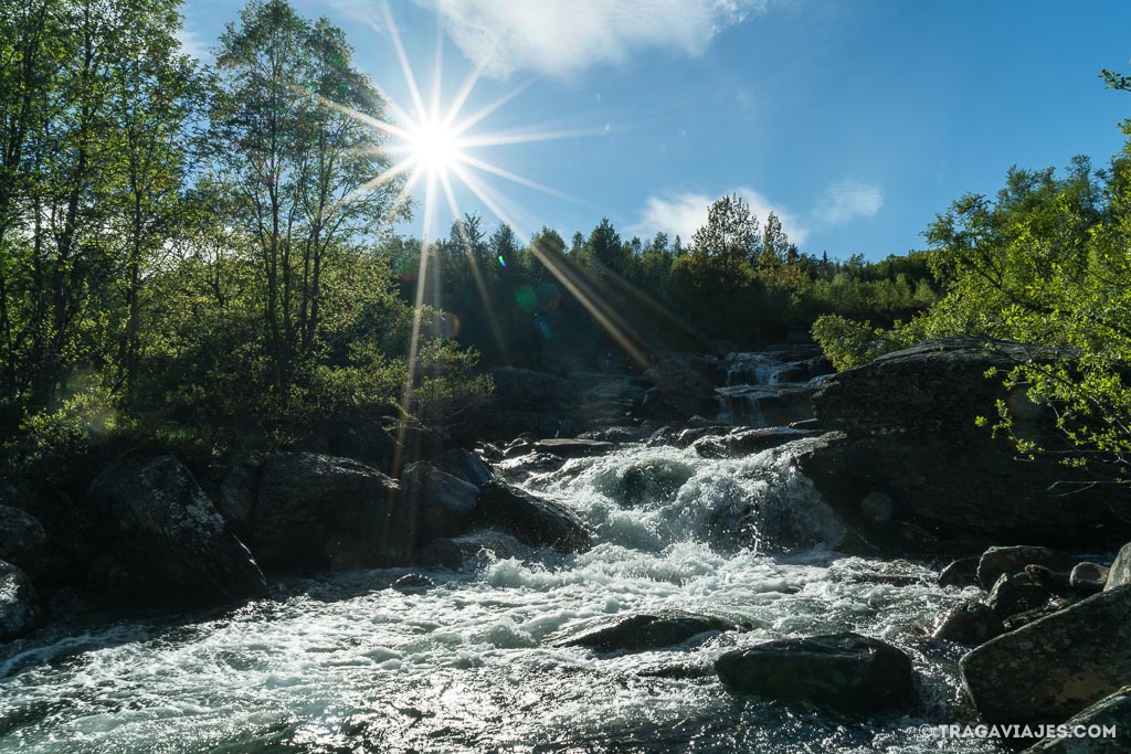 camino de san olav o nidaros, noruega