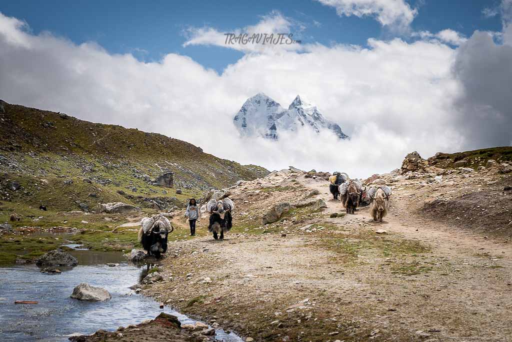 Campo base del Everest - De camino a Dzongla