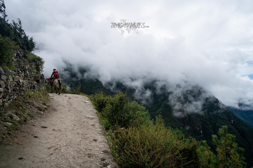 Campo base del Everest y Gokyo - De Dhole a Monjo